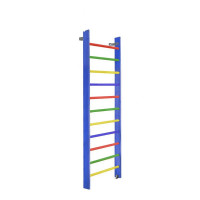 Стенка гимнастическая 240х80 (массив.сосна), цветная Dinamika ZSO-000059