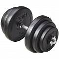 Гантель разборная пластиковая 19,5 кг BaseFit в коробке DB-720 120_120