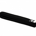 Пояс для тхэквондо Adidas Regular Master Black Belt 300см adiTBB04 черный 120_120